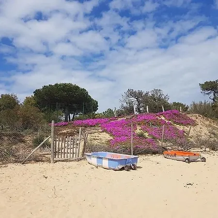 Maison Acces 1 A 6 Personnes - Georges D Oleron - Boyardville - 2 - Animaux Acceptes Nid D Ete Prázdninový dům Saint-Georges-d'Oleron